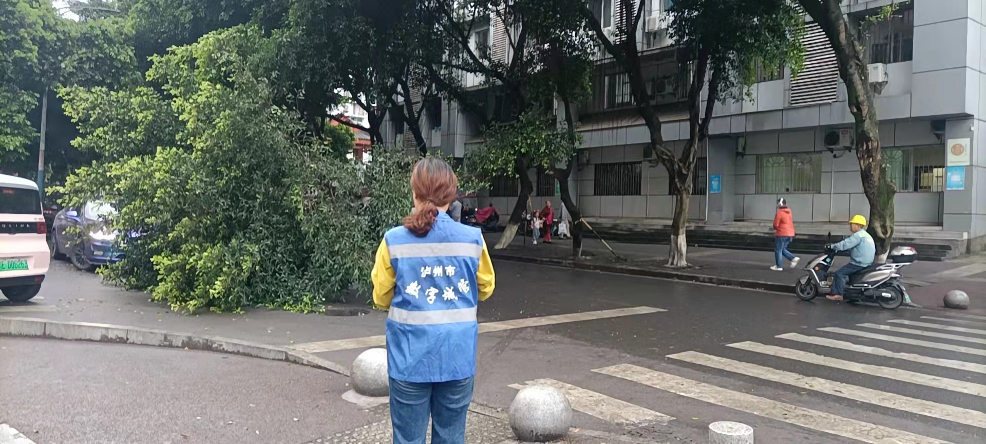 堅持雨后精準采集，共護市民出行安全