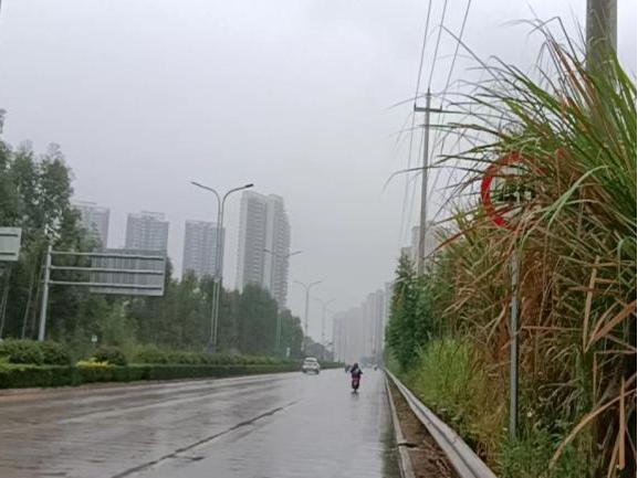 全力以赴戰寒潮，姜汁湯圓暖人心